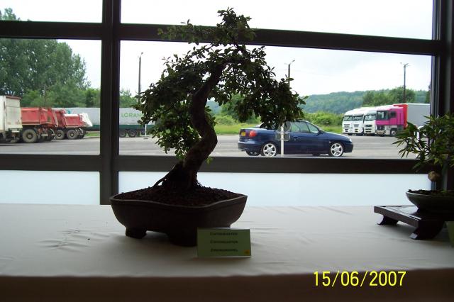 Image: 100_6895-4209a7.jpg