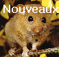 Nouveaux messages