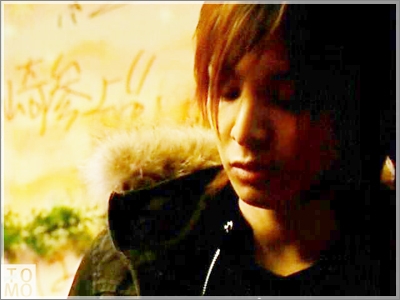 Image: hjl-333732.jpg