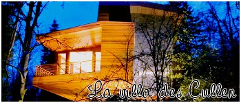 http://img20.xooimage.com/files/1/f/4/la-villa-f017da.jpg