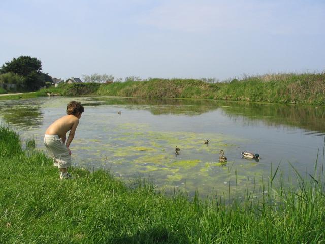 Image: mai-2008-090-34e43e.jpg