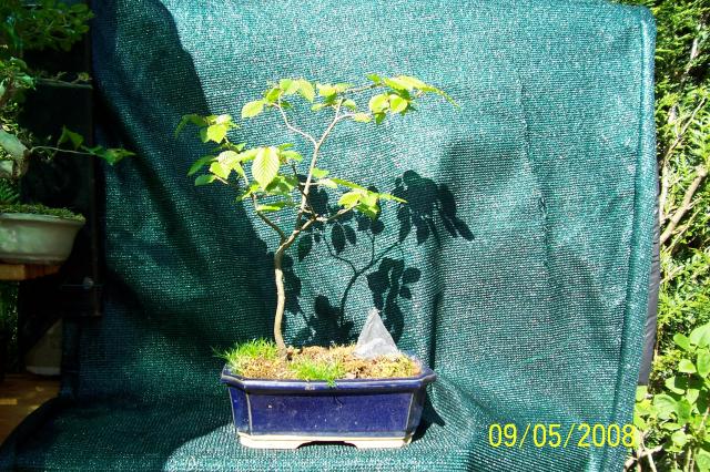 Image: 100_6681-32b3d1.jpg
