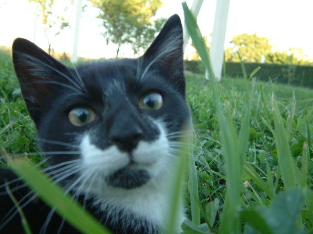 Image: dscf0156-37a9e8.jpg