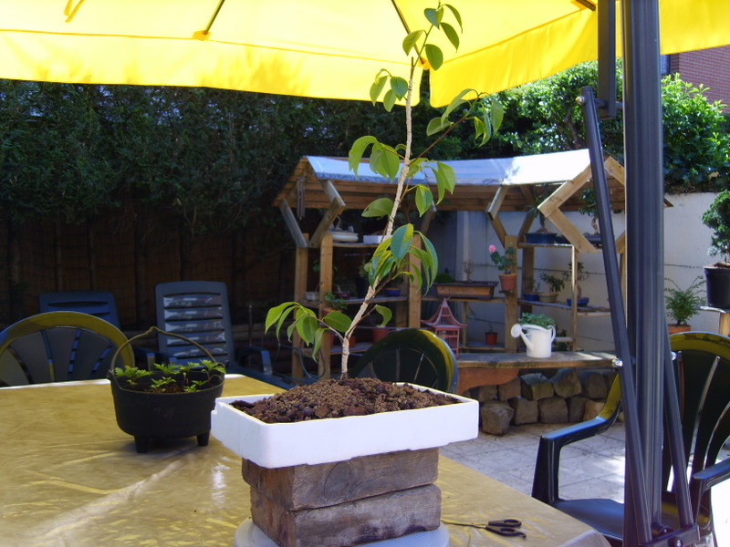 Image: s8300170-32cb75.jpg