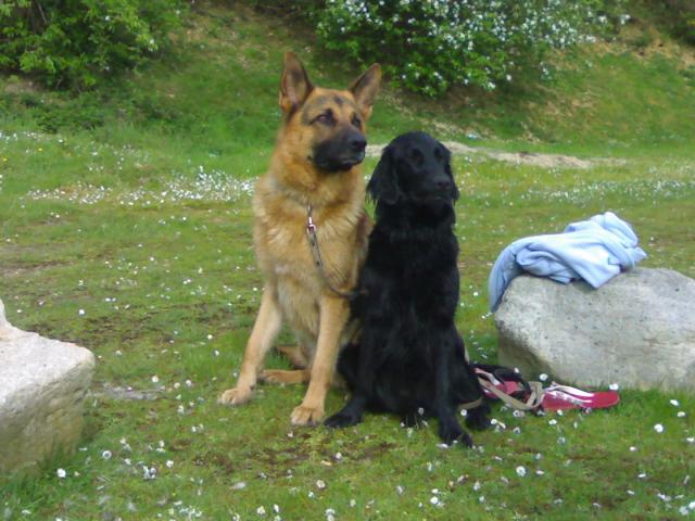 Image: 04052008849-35eeee.jpg