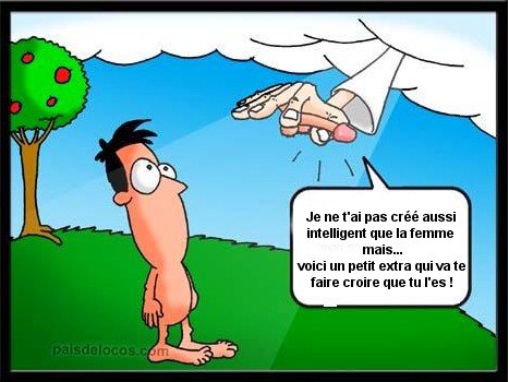 images drolesssssss - Page : 63 - La Salle Détente - FORUM Santé