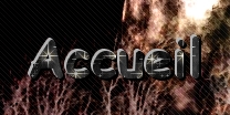 Accueil