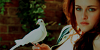 http://img20.xooimage.com/files/9/5/5/1-copie-10f0698.png