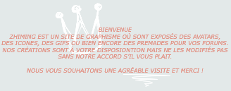 L'image &ldquo;http://img20.xooimage.com/files/a/8/c/ent-te-copie-55b780.png&rdquo; ne peut &ecirc;tre affich&eacute;e car elle contient des erreurs.