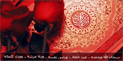Image: 104194_1226667584-9575ad.gif