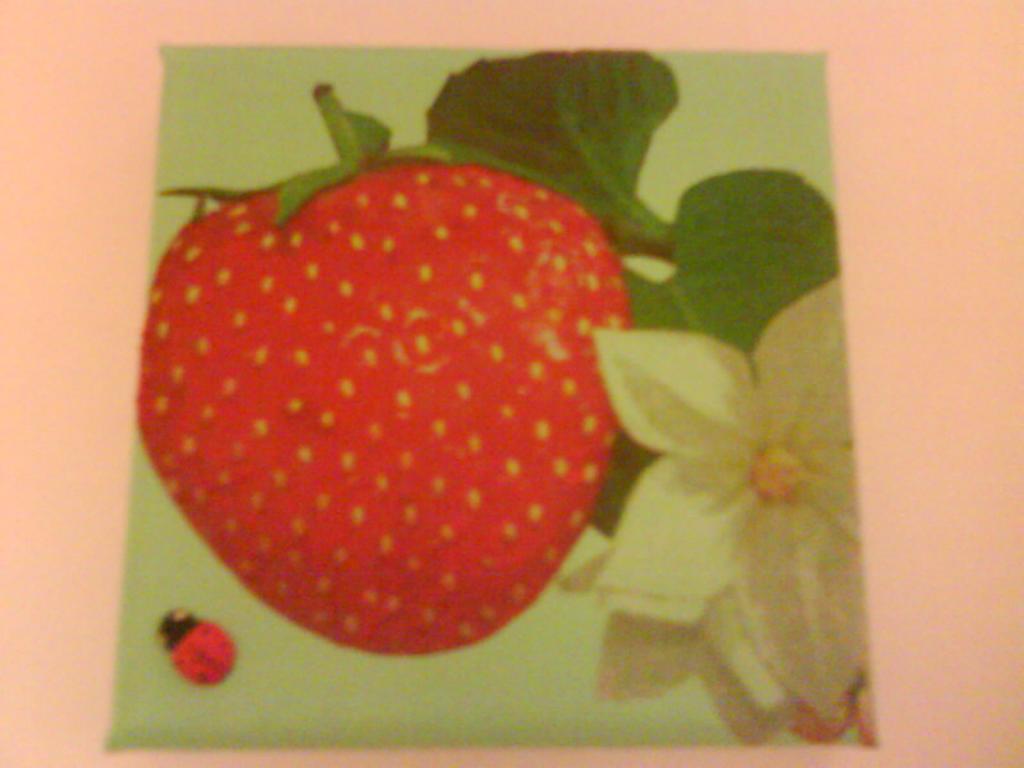 Image: serviettaged-butle20.06.08-7--443989.jpg