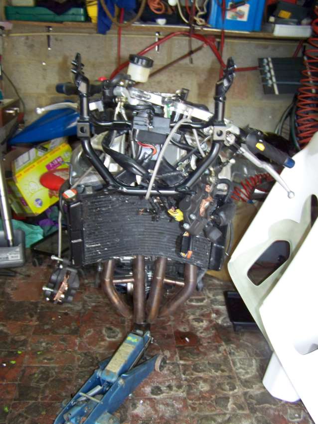 Image: sans-fourche02-455903.jpg