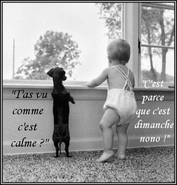Mars bon ou méchant: ton boeuf à l'herbe, ton chien dedans - Page 2 Vdtpfyqi-41c3a5
