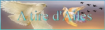 A tire d Ailes (moutine)