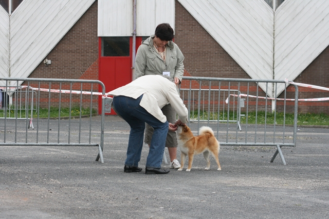 Image: amiens10-e44a6d.jpg