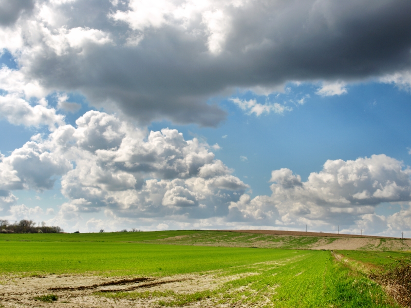 Paysage proche de Toulouse en Digital Blending P20-d1e51a