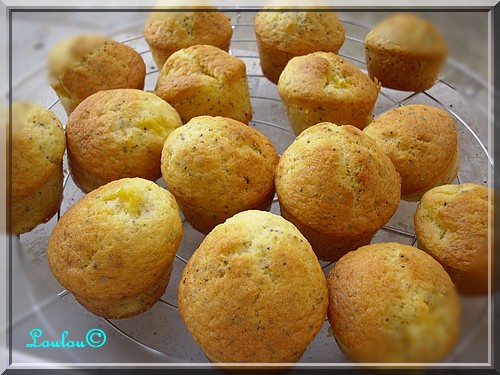 muffins orange pavot